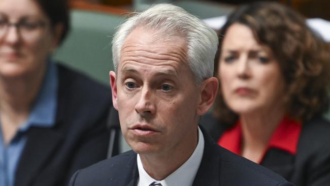 Immigration Minister Andrew Giles in question time in Canberra. Picture: NewsWire / Martin Ollman