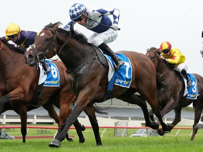 Lethal Thoughts is ready to win after two promising runs this time in when he heads to Sandown on Saturday. Picture: Racing Photos via Getty Images.