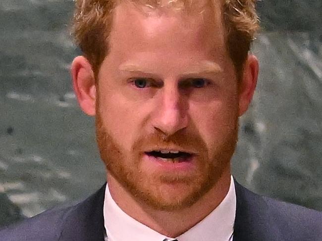 Prince Harry ‘deluded’ in Mandela speech