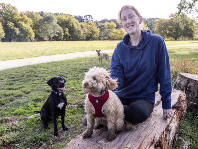 Dog minder Olivia Graham with some of the dogs at the Balhannah dog park. Picture: Kelly Barnes