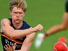 Crows keep poachers at bay to sign young star