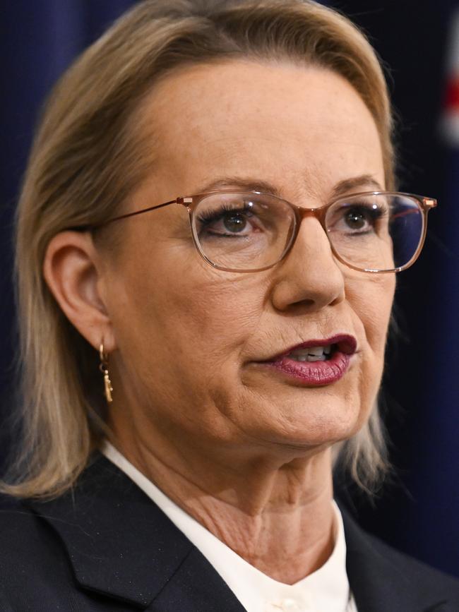 Opposition Leader Sussan Ley. Picture: NewsWire/Martin Ollman