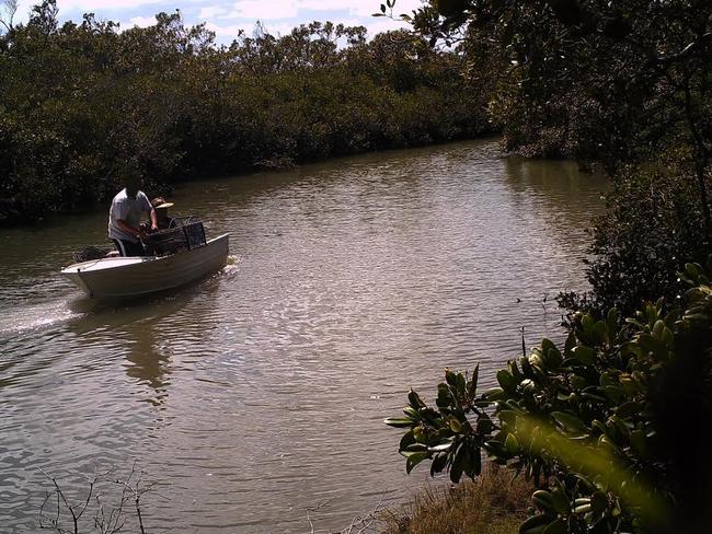 The Logan River, where taking crabs and prawns has been banned after the outbreak of white spot disease.