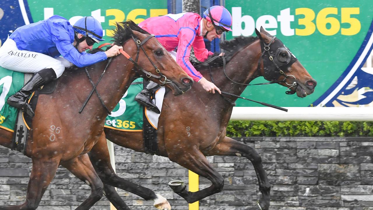 Boldinho, pictured winning at Geelong last year, is a tempting price in the last race at The Valley on Saturday. Picture: Pat Scala / Racing Photos