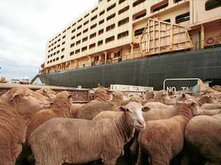 WORRYING TIMES: Peter Gleeson says the entire farming industry is under threat from over-zealous activists.. Picture: MEAD LEON