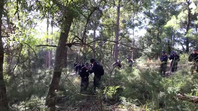 The search for William Tyrrell returns to where he disappeared