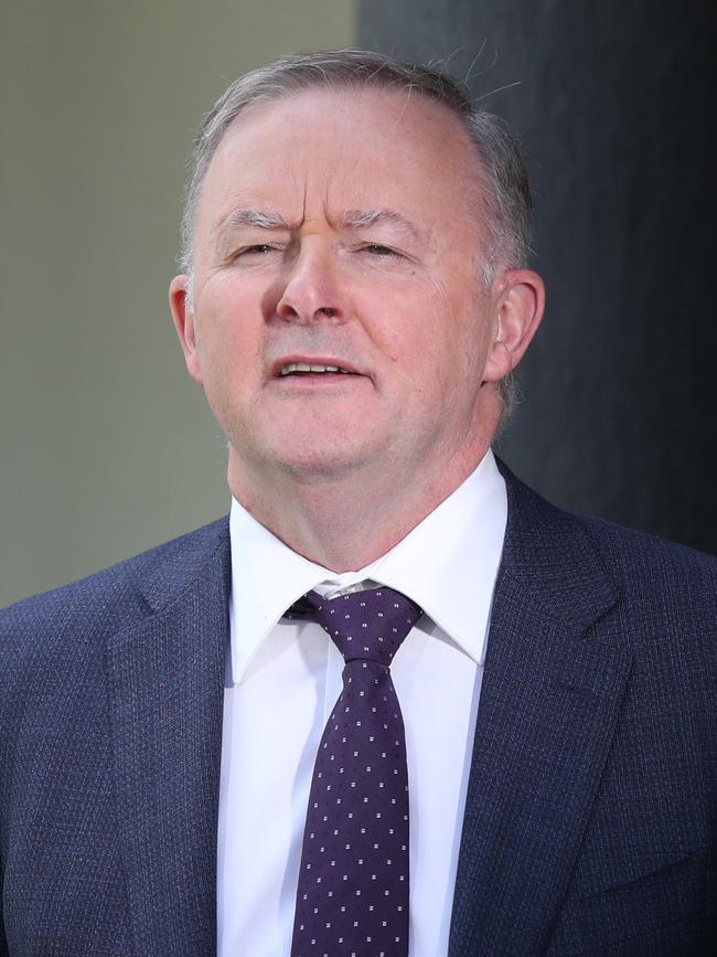 Anthony Albanese. Picture: Annette Dew