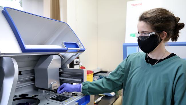 Water quality analyst Claire Gorman from Sydney Water test wastewater samples for signs of COVID-19 at Sydney waters Lab in West Ryde. Picture: NCA NewsWire / Damian Shaw