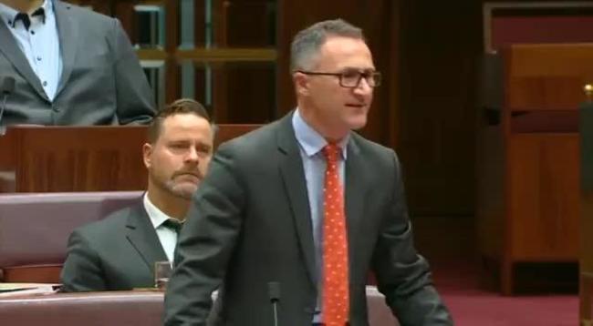 'You should be ashamed': Greens leader slams Liberals