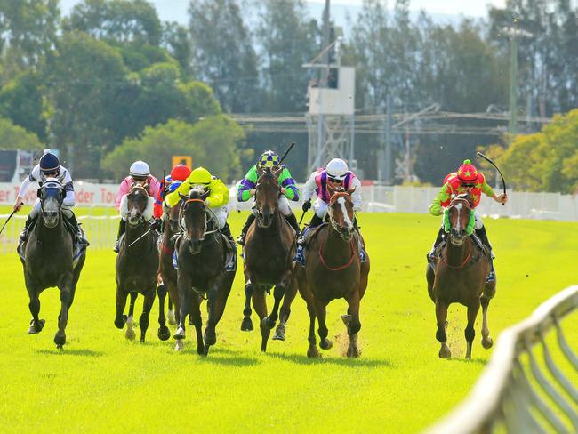 Danish Twist  (bright yellow) ridden by Brenton Avdulla wins race 5 during Hawkesbury Races, Clarendon. The fields today are favoring the outside rail.  Pic Jenny Evans