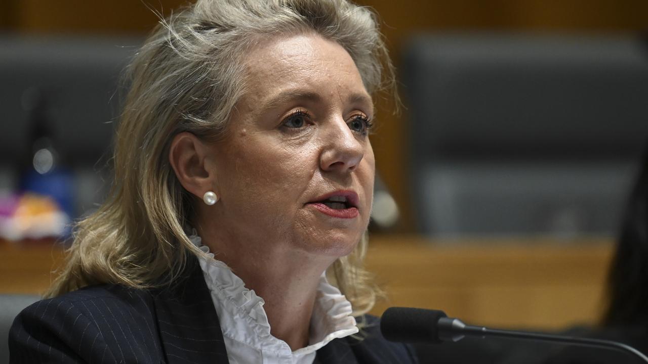 Senator Bridget McKenzie is leading the inquiry into Australia's bilateral air services agreements. Picture: NCA NewsWire / Martin Ollman