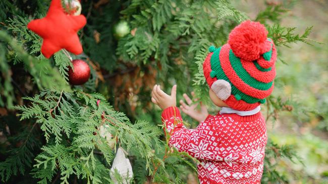 There are plenty of great Christmas in July events to catch on the Northern Rivers.