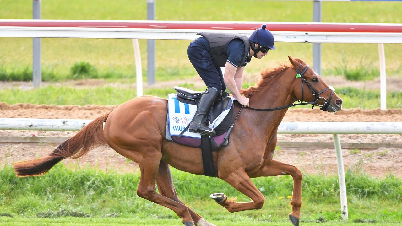 Dave Casey riding Vauban during trackwork at Werribee Racecourse. (Photo by Pat Scala/Racing Photos via Getty Images)