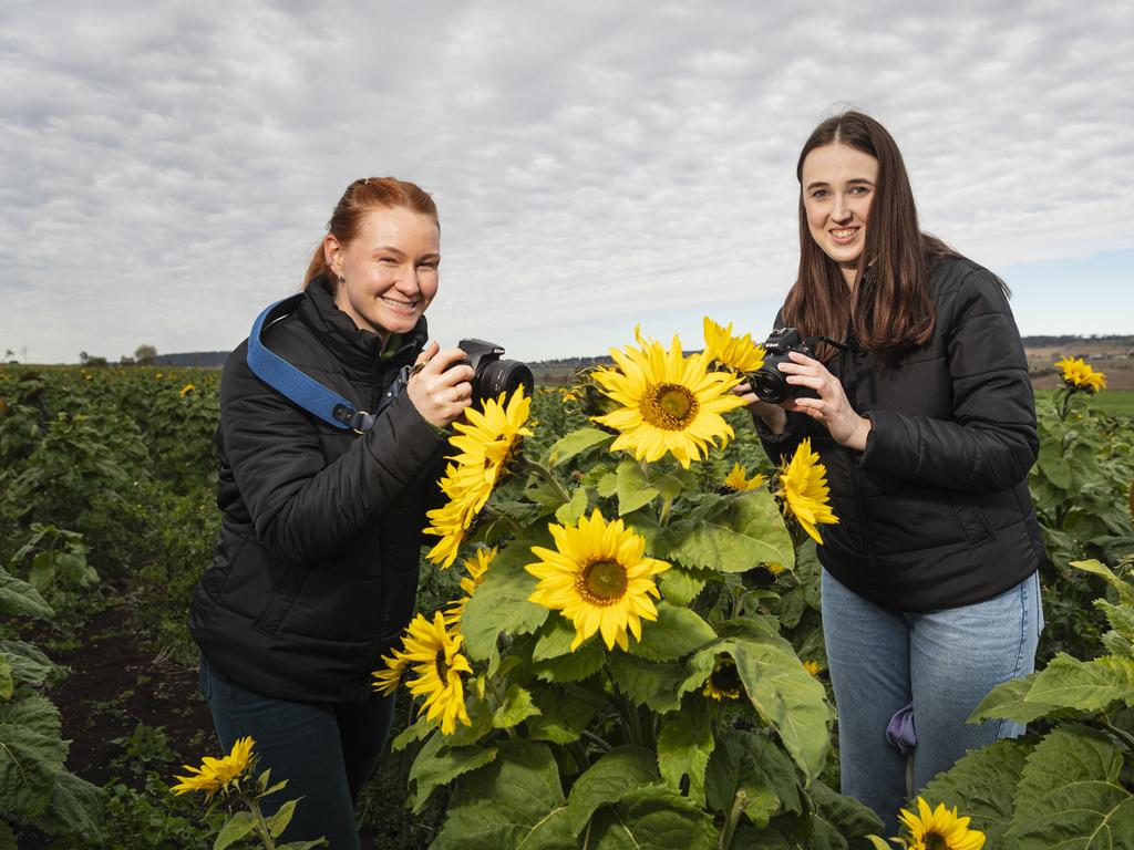 Ella Shanyn-Miller (left) and Samantha Templeton travelled from Brisbane to visit Warraba Sunflowers, Saturday, June 22, 2024. Picture: Kevin Farmer