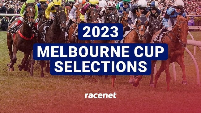 Tips for the 2023 Melbourne Cup image