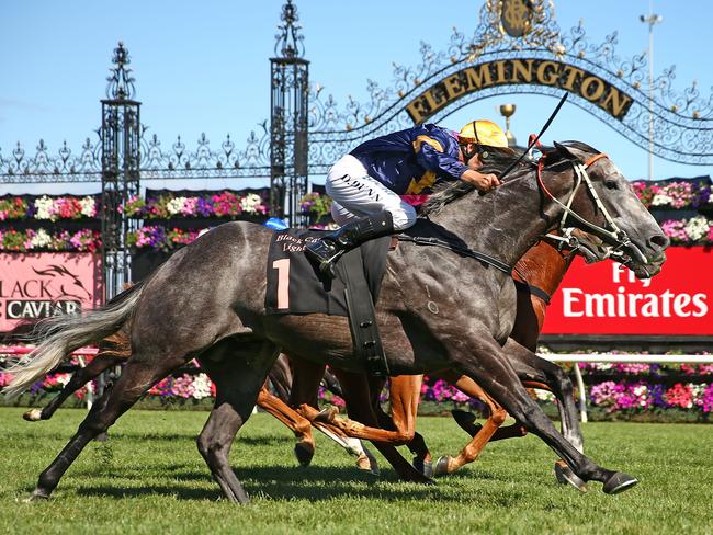 Dwayne Dunn has described Chautauqua’s wide draw in the Newmarket Handicap as “superb”. Picture: Getty Images