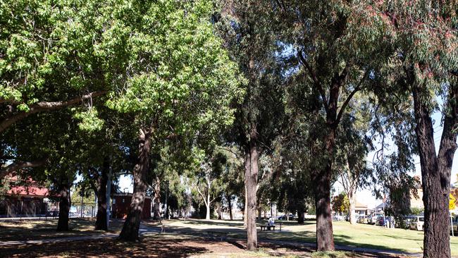 The trees in Gandolfo Gardens are under threat by the Level Crossing Removal Project. Picture: Sarah Matray