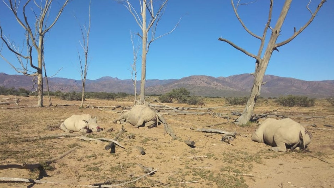 Allegedly, large calibre rifle rounds from silenced weapons were identified on the scene, with four people arrested at the time. Picture: Inverdoorn