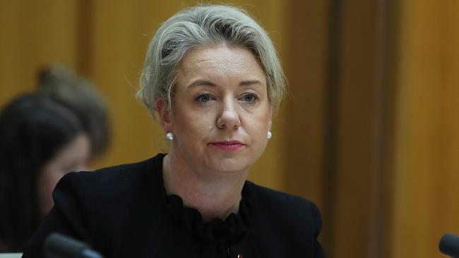 Deputy Leader of the Nationals and Agriculture Minister Bridget McKenzie has resigned as agriculture minister. Picture: Kym Smith