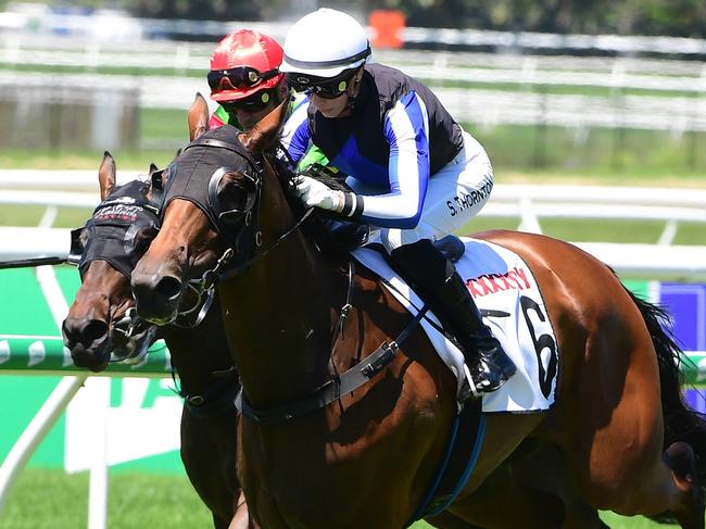 Gypsy Goddess races to victory under jockey Stephanie Thornton. Picture: Grant Peters/Trackside Photography