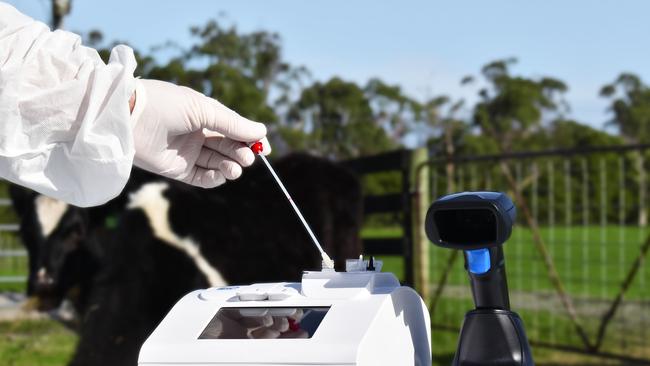 Zip Diagnostics has developed a rapid test for exotic diseases like FMD and LSD to give results within 15 minutes.