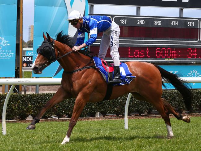 Racing at the Gold Coast Turf Club. Race 1 Winner Desmon's Pride ridden by Ryan Plum. Picture Mike Batterham