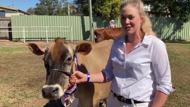 Kenilworth producer celebrates win for Supreme Cow at 2023 Gympie Show