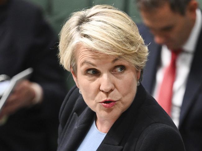 Minister for Environment and Water Tanya Plibersek. Picture: Martin Ollman