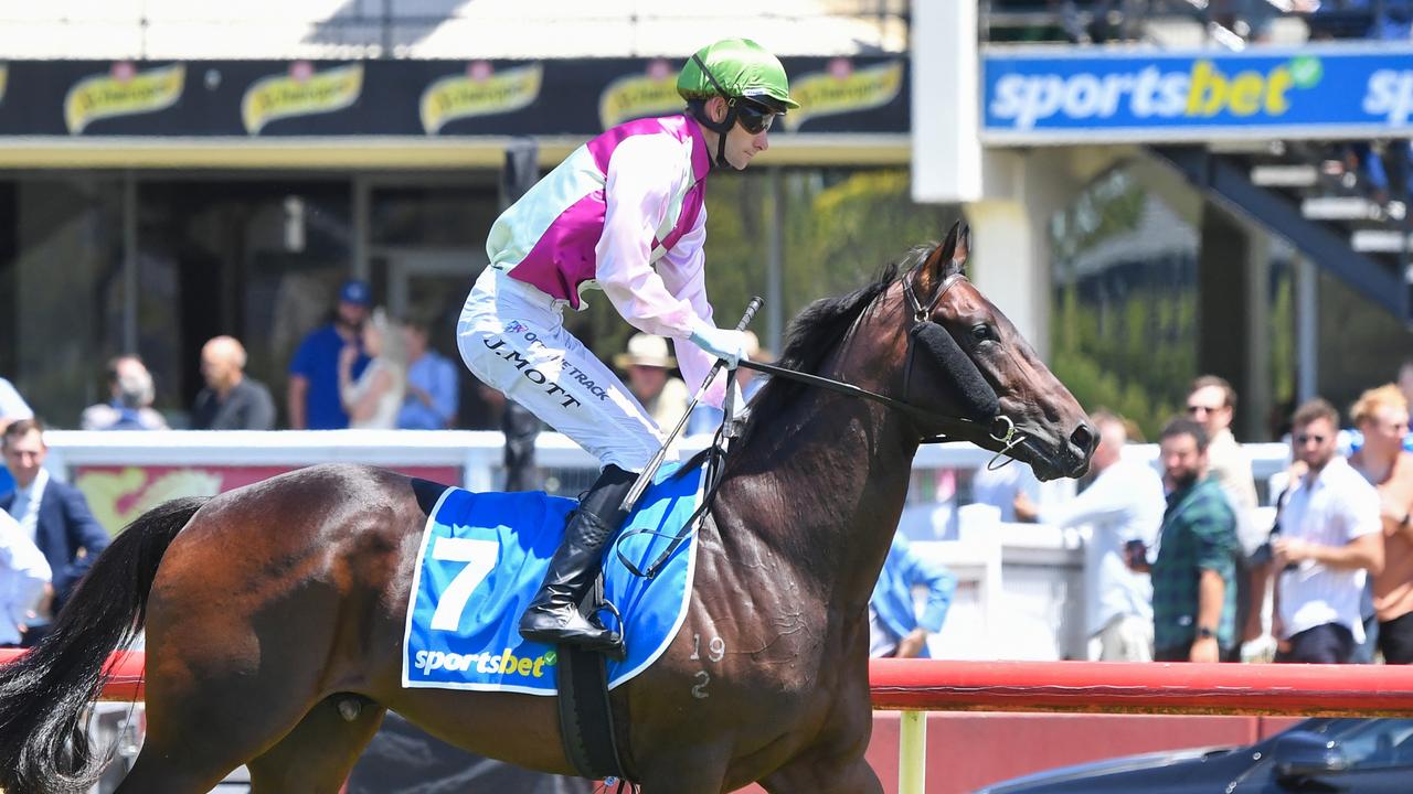 Yamashita’s Gold got a little excited before his debut run. Picture: Pat Scala/Racing Photos via Getty Images