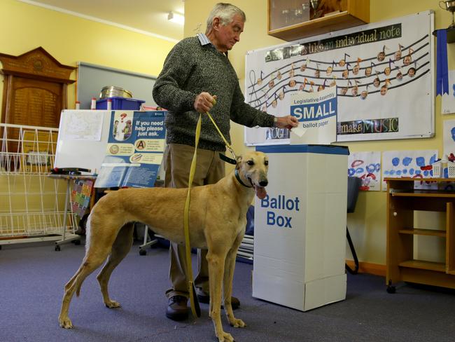 Greg Board, a greyhound breeder of more than 200 dogs, casts his vote with retired race dog Amanda by his side at Spring Hill Public School polling booth. Picture: Jonathan Ng