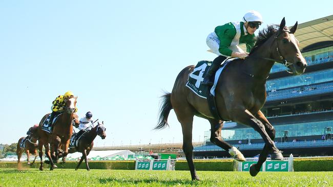 Enthaar scored an impressive debut win in the Gimcrack Stakes. Picture: Getty Images