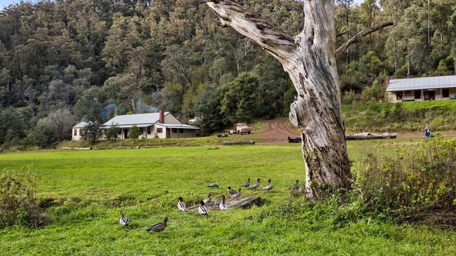 The two-bedroom home and wide open space at Coopers Creek. Pictures: Supplied