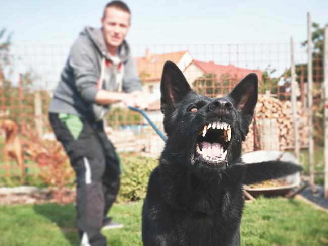 A rising number of Victorians are asking for their dogs to be trained “aggressively” to protect their families amid rising crime.