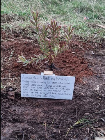 Tributes by Alicia Montebello’s family at the crash site. Picture: Facebook/Hamilton Victoria’s Community Group