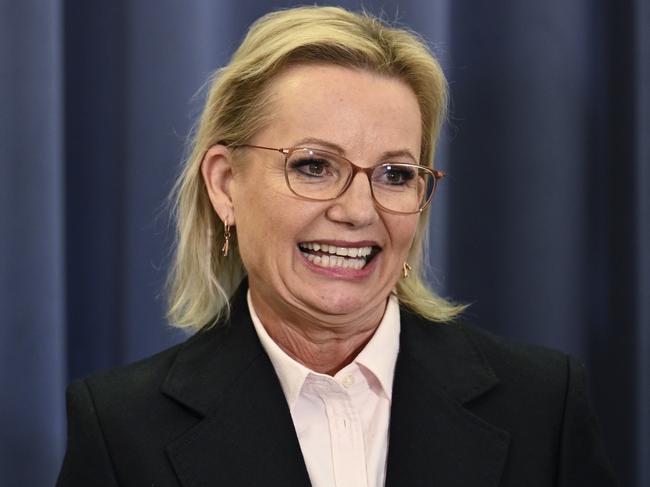 Newly elect Opposition Leader Sussan Ley has vowed to “continue to listen” to Aussies. Picture: NewsWire / Martin Ollman