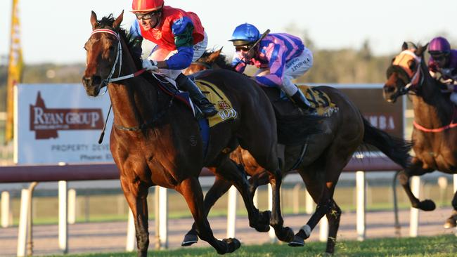 Vegas Showgirl takes a win on the Sunshine Coast in 2007. Picture: Jeff Camden