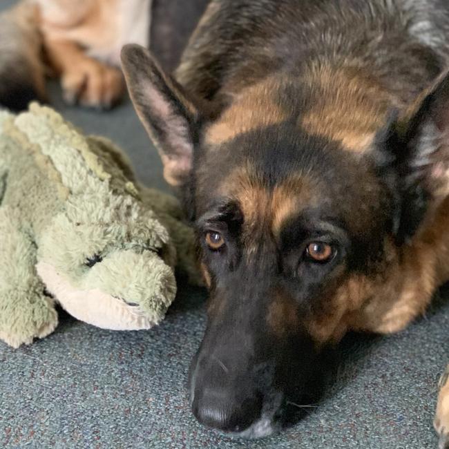 Mika and her pet crocodile. Picture: Amy Morrison