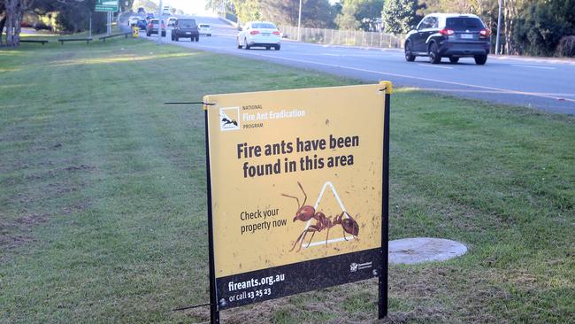 No Fire Ant signs were detected at The Spit however I found this one at Southport Burleigh Road, Broadbeach Waters. 17 June 2023 Broadbeach Waters Picture by Richard Gosling