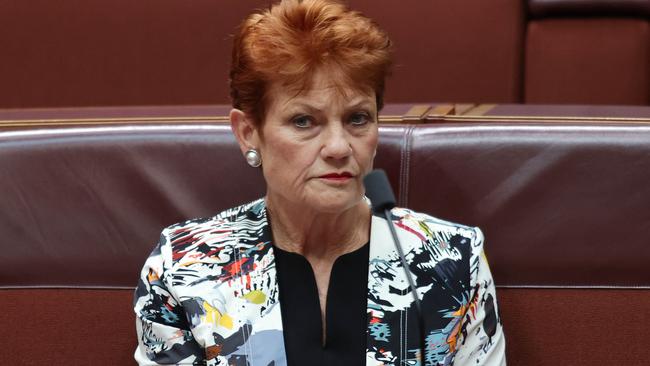 Pauline Hanson has her eyes on Daniel Andrews. Picture: Gary Ramage