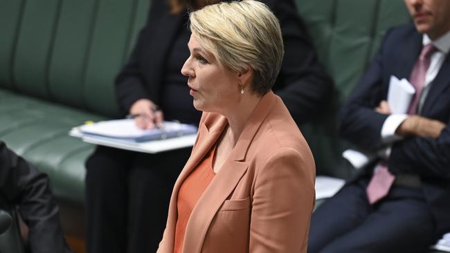 Environment Minister Tanya Plibersek. Picture: NCA NewsWire/Martin Ollman