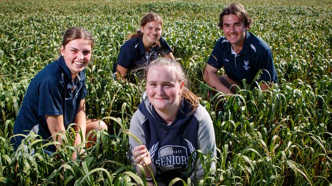 Balaklava High year 12 High School students, Amber Pratt, Tiarhn Carpenter, Caitlin Arts and Thomas Michael. Picture: Matt Turner