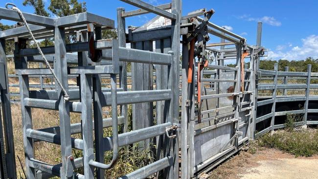 This fully fences property has a great set of cattle yards. Photo: Ray White Sarina Rural