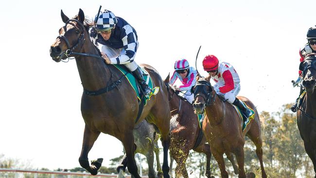 Young Werther refused to have a spell following a long spring campaign. Picture: Racing Photos via Getty Images