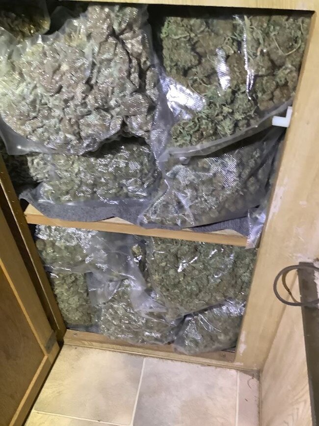 The cannabis haul found hidden in the caravan.