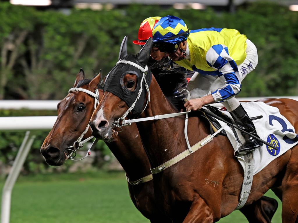 La City Blanche is a one-time winner in Hong Kong. Picture: HKJC