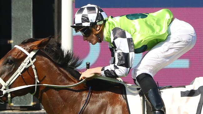 James McDonald will partner Waikiki on Wednesday. Picture: Getty Images