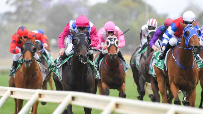 Jockey Tim Clark (pink white blue) rides Sneak Preview to victory in race 2, the TAB Highway Handicap during the Gong Raceday at Kembla Grange Racecourse in Wollongong, Saturday, November 23, 2019. (AAP Image/Simon Bullard) NO ARCHIVING, EDITORIAL USE ONLY