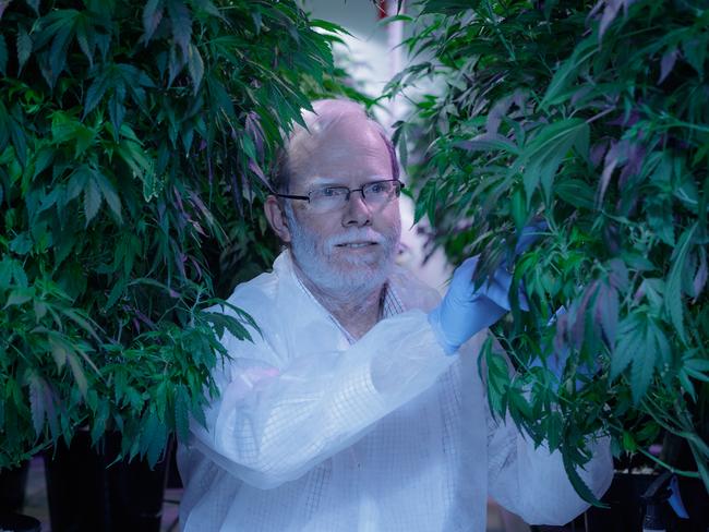 Cann Group's CEO Peter Crock at the company's marijuana growing facility in Melbourne. Picture: Mark Dadswell