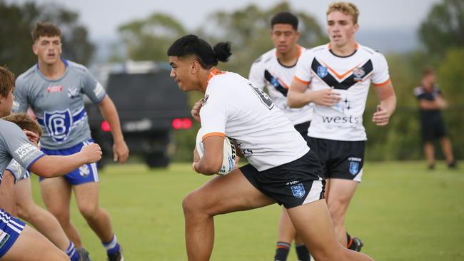 Dallis Taoai in action for the Macarthur Wests Tigers against the North Coast Bulldogs during round two of the Andrew Johns Cup at Kirkham Oval, Camden, 10 February 2024. Picture: Warren Gannon Photography