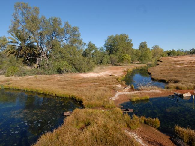 Great Artesian Basin’s open bore drains on a property.